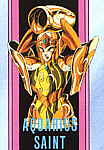 Otaku Gallery  / Anime e Manga / Saint Seiya / Cloth / Gold Cloth / acquario.jpg